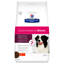 Picture of Hills Presciption Diet Gastrointestinal Biome Dry Dog Food 10kg