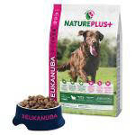 Picture of Eukanuba Nature Plus Adult Large Breed Lamb - 10kg