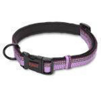 Picture of Halti Collar Purple - Large