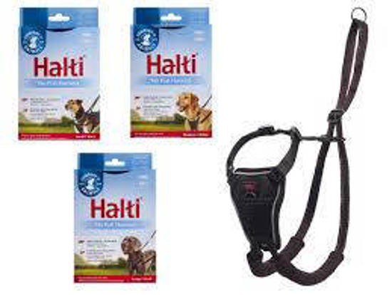 Picture of Halti No Pull Harness - Medium