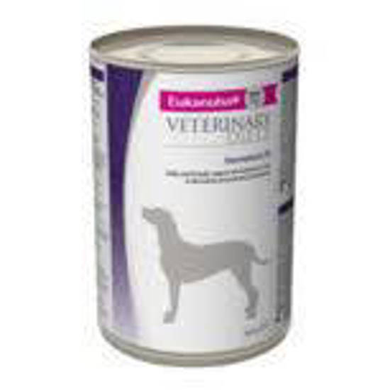 Picture of Eukanuba Dermatosis dog - 375g