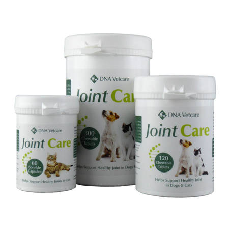 Picture for category DNA Vetcare Joint Supplements