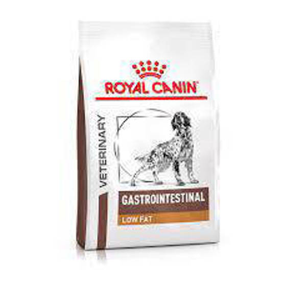 Picture of Royal Canin RCVHN Gastro Intestinal Low Fat (Dog) 12kg